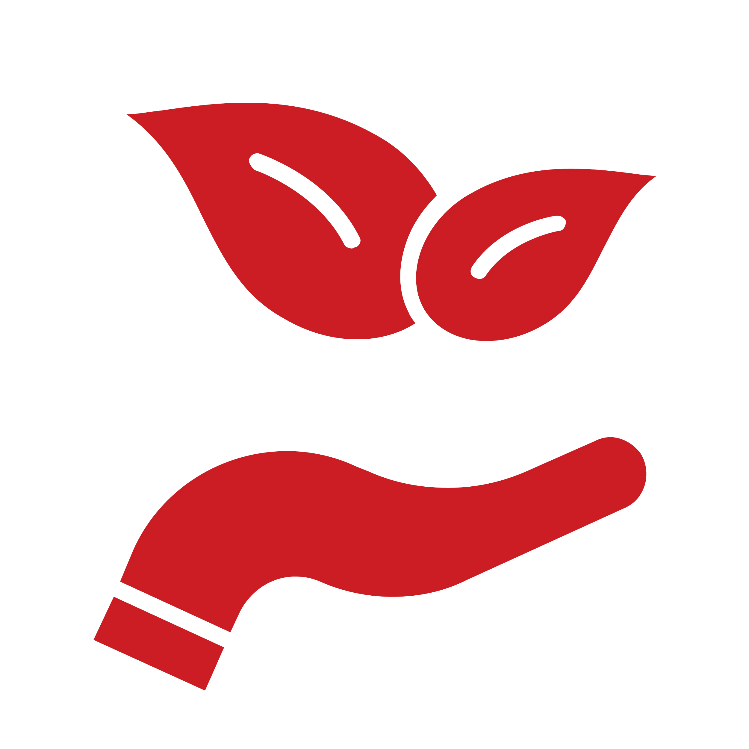 Arrow Icon